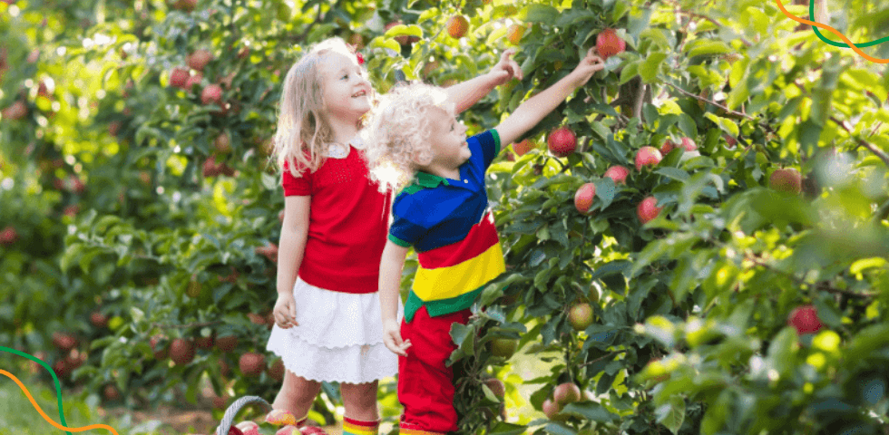 Dvoje djece bere jabuke u vrtu s jabukama.