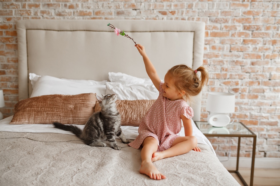djete i mačka igraju se na krevetu sa grančicom 