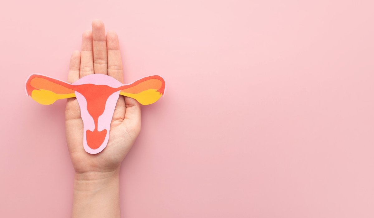 Slika ženskog reproduktivnog sustava koji stoji na dlanu.